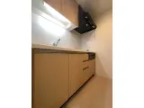 ドゥーエ新富町 1DK / 1LDK