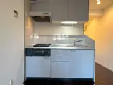 シャトレー渋谷 1DK / 1LDK