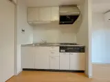 ラフィネ築地 1DK / 1LDK