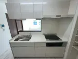 カーサオーヴェスト駕籠町 1DK / 1LDK