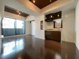 AXIS銀座東 1DK / 1LDK