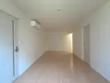 ステラ三軒茶屋 1R / 1K