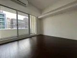 パークフラッツ銀座イースト 1DK / 1LDK