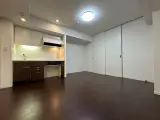 パークフラッツ銀座イースト 1DK / 1LDK