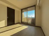プレミアステージ麻布十番 1DK / 1LDK