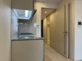 ザ・パークワンズ深川門前仲町 1DK / 1LDK