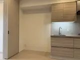 ザ・パークワンズ深川門前仲町 1DK / 1LDK