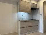 ザ・パークワンズ深川門前仲町 1DK / 1LDK