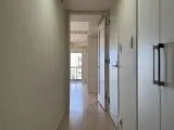 パークアクシス板橋本町 1DK / 1LDK