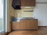 パークサイドハウス 1DK / 1LDK