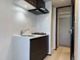 グランパセオ銀座築地 1DK / 1LDK