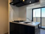 ACP Residence 中延 1R / 1K