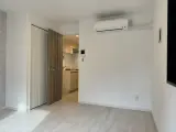 ラフィスタ新板橋 1R / 1K
