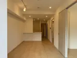 コンフォートサウス白金台 1DK / 1LDK