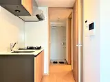 CAVANA錦糸町 1DK / 1LDK