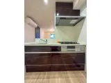 MAISON THEOBROMA 1DK / 1LDK