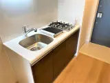 レオーネ新御徒町 1R / 1K