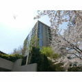 ONE ROOF FLAT TOGOSHIの間取り画像