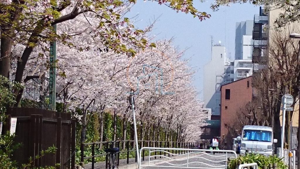 東陽中学校