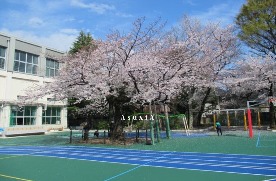 駒込小学校