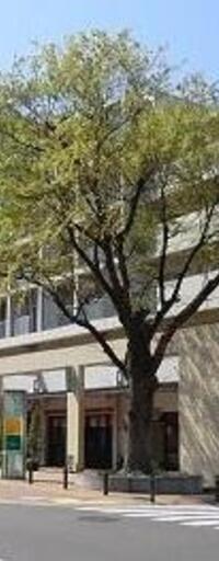 アクティ目黒駅前Ⅱ