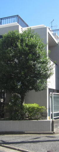 朝日代々木上原マンション