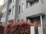 エトワールフルール