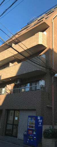 ラフィーネカワムラ