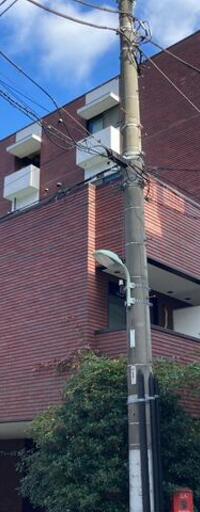 ラフィーネNS