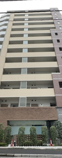 アデニウム新橋