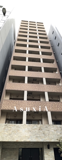 トーシンフェニックス芝アストラーレ