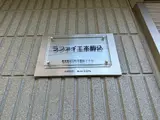 ラファイエ本駒込