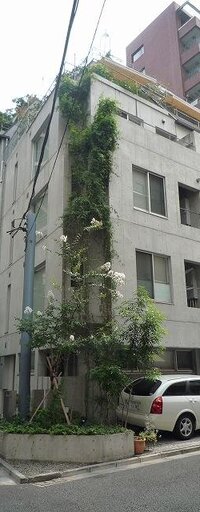 コート女坂