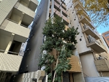 CYPRESS ONARIMON 7階 701