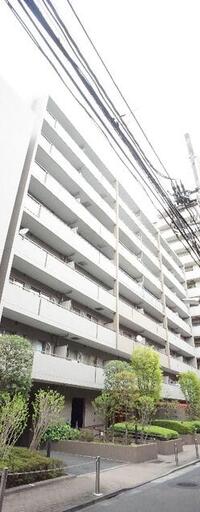 メイプルリーフ中溝