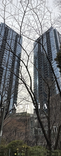 大崎ウエストシティタワーズWEST