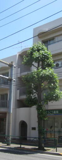 駒沢マンション