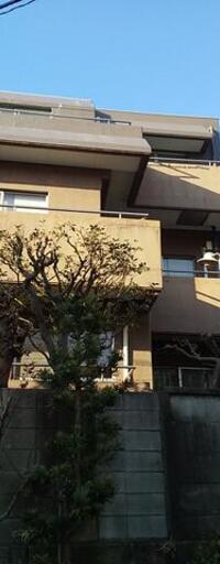 峯岸マンション