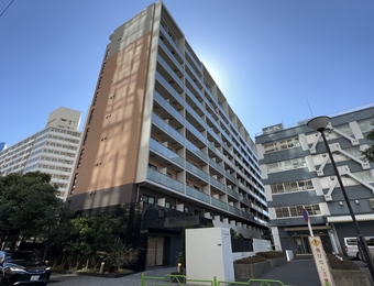 Dimus勝どき