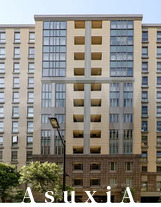 デューク・スカーラ日本橋