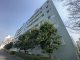 グリーンホームズ1 7階 0703