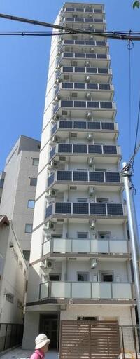 Log品川サンズ