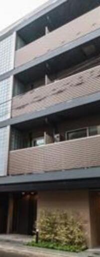 Prima Stella秋葉原