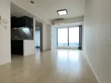シティタワーズ豊洲ザ・ツインサウスタワー リビング