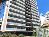 MODIER HATAGAYA 8階 810 トップ画像
