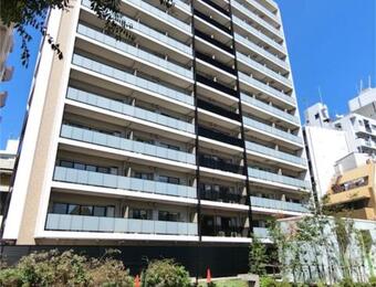 MODIER HATAGAYA