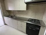 フラッツ砂土原 キッチン