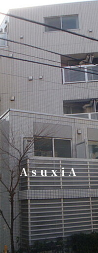 ブライズ新宿中井