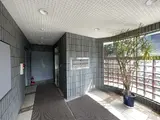 273南青山