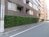 カスタリア人形町II 7階 702